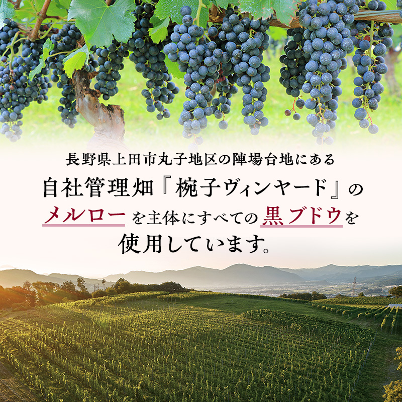 ワイン 椀子ロゼ 750ml シャトー・メルシャン ロゼ 辛口 お酒 酒 アルコール ギフト 贈り物 プレゼント